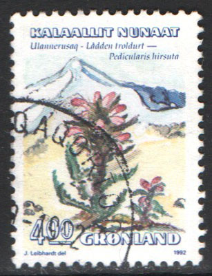 Greenland Scott 190 Used - Click Image to Close